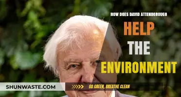David Attenborough's Impact: Inspiring Global Environmental Conservation Efforts