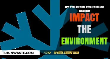 Salt's Hidden Toll: Environmental Consequences of De-Icing Roads