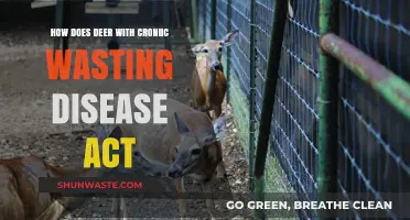 Understanding Deer Behavior with Chronic Wasting Disease: Signs and Symptoms