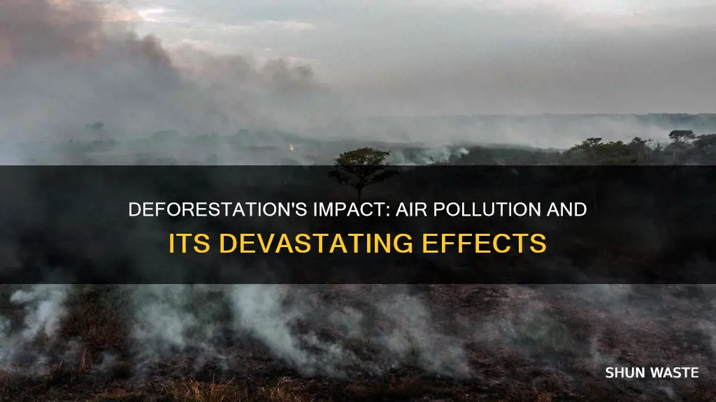 how does deforestation affect air pollution