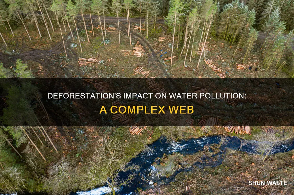 how does deforestation affect water pollution