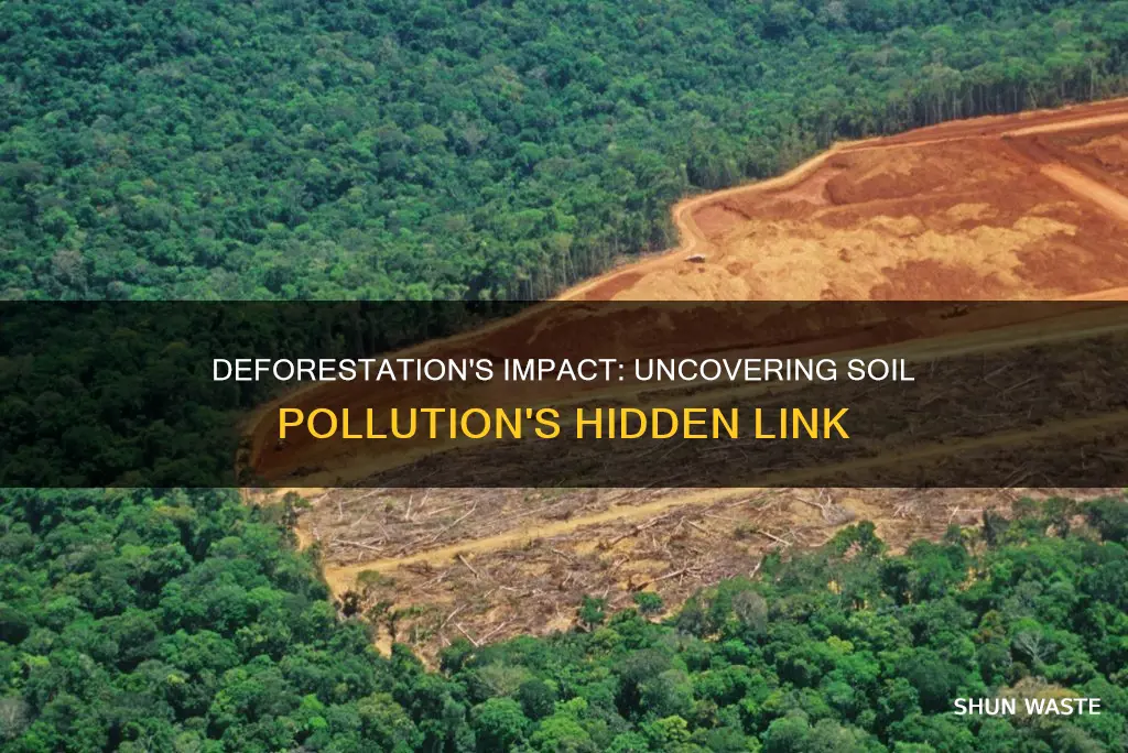 how does deforestation cause soil pollution