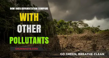 Deforestation's Impact: Comparing Pollution Sources