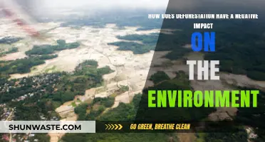 Deforestation's Devastating Effects: Unraveling the Environmental Crisis