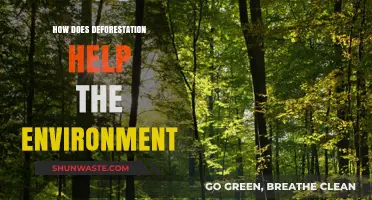 Debunking Myths: How Deforestation Can Surprisingly Benefit the Environment
