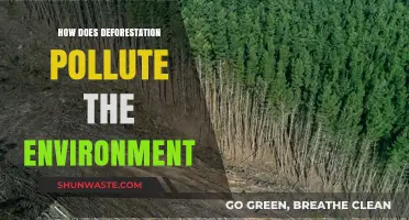 Deforestation's Devastating Impact: Polluting Our Planet