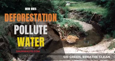 Deforestation's Dirty Water: Uncovering the Hidden Impact