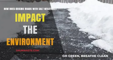 Salt's Hidden Toll: Environmental Consequences of Deicing Roads