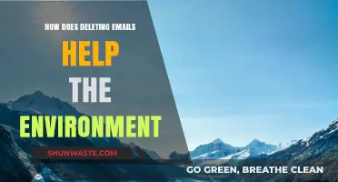 Deleting Emails Reduces Carbon Footprint: Simple Steps for a Greener Planet