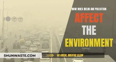 Delhi's Air Pollution: Environmental Impact and Concerns