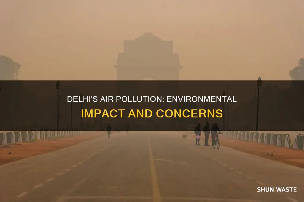 how does delhi air pollution affect the environment