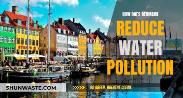 Denmark's Water Pollution Reduction Strategies: A Comprehensive Overview