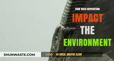 Deposition's Environmental Impact: Understanding Its Effects on Ecosystems and Climate