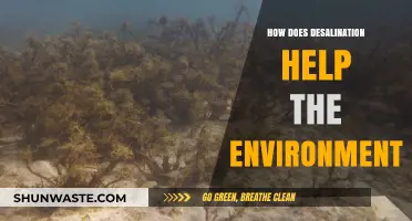 Desalination's Eco-Impact: Sustainable Water Solutions for a Thirsty Planet