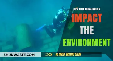 Desalination's Environmental Impact: Benefits, Challenges, and Sustainable Solutions