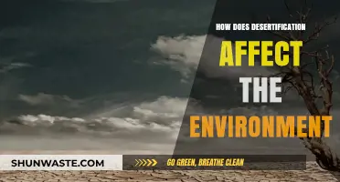 Desertification's Devastating Impact: Unraveling Environmental Consequences and Ecosystem Loss
