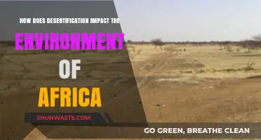 Desertification's Devastating Effects on Africa's Ecosystems and Climate