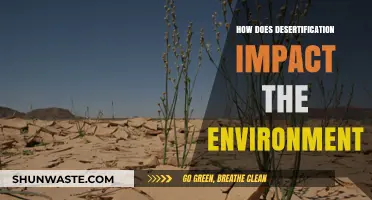 Desertification's Devastating Effects: Unraveling Environmental Consequences and Ecosystem Loss