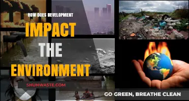 Development's Environmental Footprint: Balancing Progress and Planetary Preservation