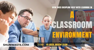 Discipline's Role in Enhancing Classroom Learning and Student Success
