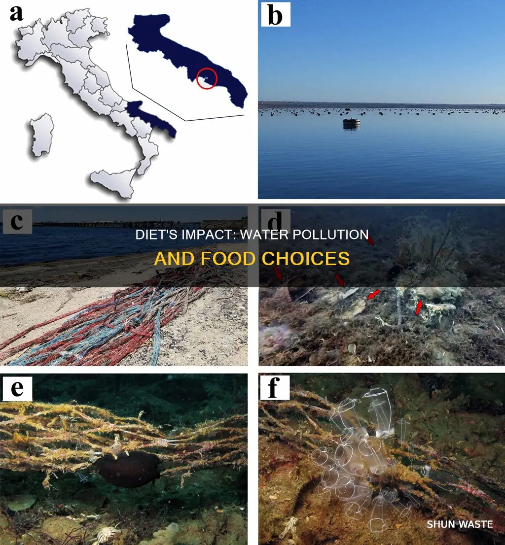 how does diet affect water pollution