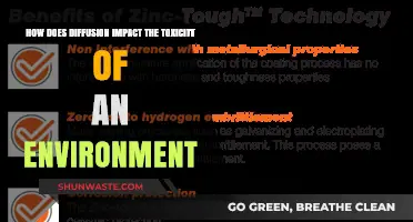 Diffusion's Role in Spreading Toxicity and Environmental Contamination
