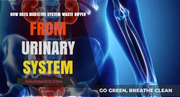 Digestive vs. Urinary Waste: Key Differences Explained Simply