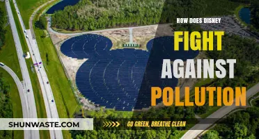 Disney's Battle Against Pollution: Strategies and Secrets