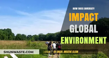 Diversity's Role in Shaping a Sustainable Global Environment