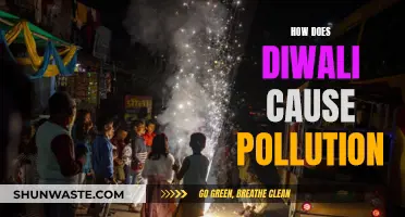 Diwali's Sparkling Celebration: Unveiling the Hidden Environmental Cost