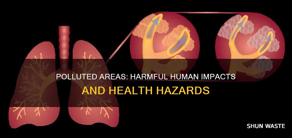 how does does a polluted area affect humans