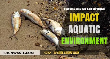Acid Rain's Silent Threat: Unraveling Its Impact on Aquatic Ecosystems
