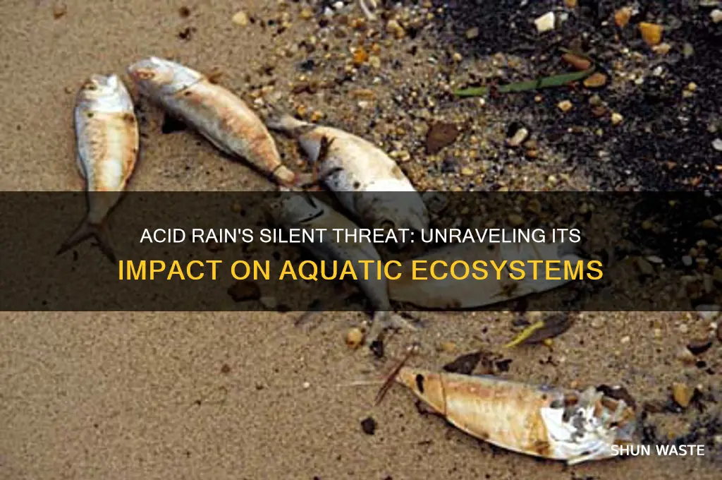 how does does acid rain deposition impact aquatic environments
