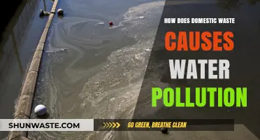 Domestic Waste's Impact: How Household Trash Pollutes Our Water Sources
