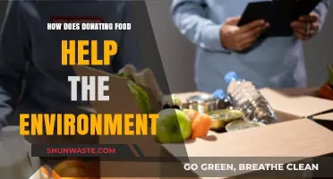 Donating Food: A Simple Act with Big Environmental Benefits
