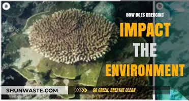 Dredging's Environmental Impact: Uncovering the Hidden Costs of Waterway Maintenance
