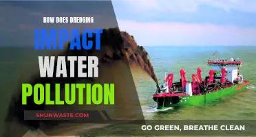 Dredging's Dual Effect: Mitigating Pollution or Creating New Environmental Challenges