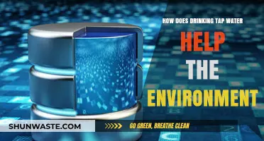 Eco-Friendly Hydration: How Tap Water Benefits Our Environment