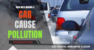 The Hidden Environmental Cost of Driving: Unveiling Car Pollution