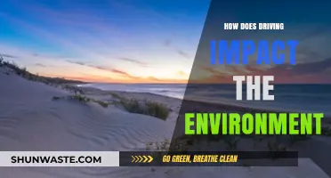 Driving's Environmental Impact: Emissions, Pollution, and Sustainable Alternatives Explored