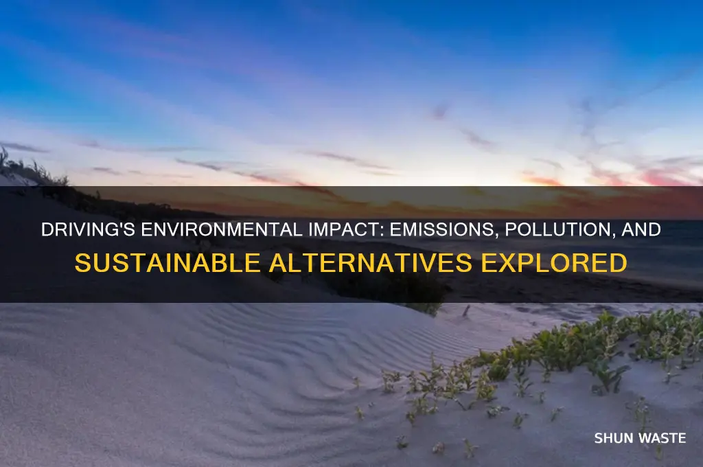 how does driving impact the environment
