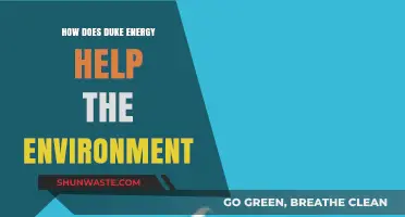 Duke Energy's Green Initiatives: Powering a Sustainable Future Responsibly