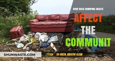 Waste Dumping's Devastating Impact: How Communities Suffer and Solutions