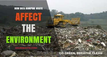 Environmental Impact of Waste Dumping: Pollution, Destruction, and Ecosystem Collapse