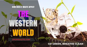 E-Waste Crisis: Impact on Western Society, Environment, and Economy