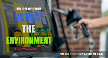 E85 Ethanol: Environmental Impact, Benefits, and Sustainability Explained