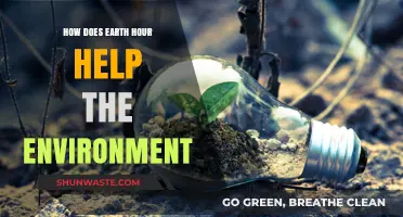 Earth Hour's Impact: Uniting Communities for a Sustainable Environment