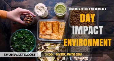 One Vegan Meal Daily: Small Step, Big Environmental Impact