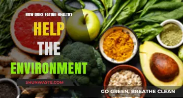 Sustainable Eating: How Healthy Diets Benefit Our Planet and Future