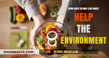 Reducing Meat Consumption: A Powerful Step Toward Environmental Sustainability